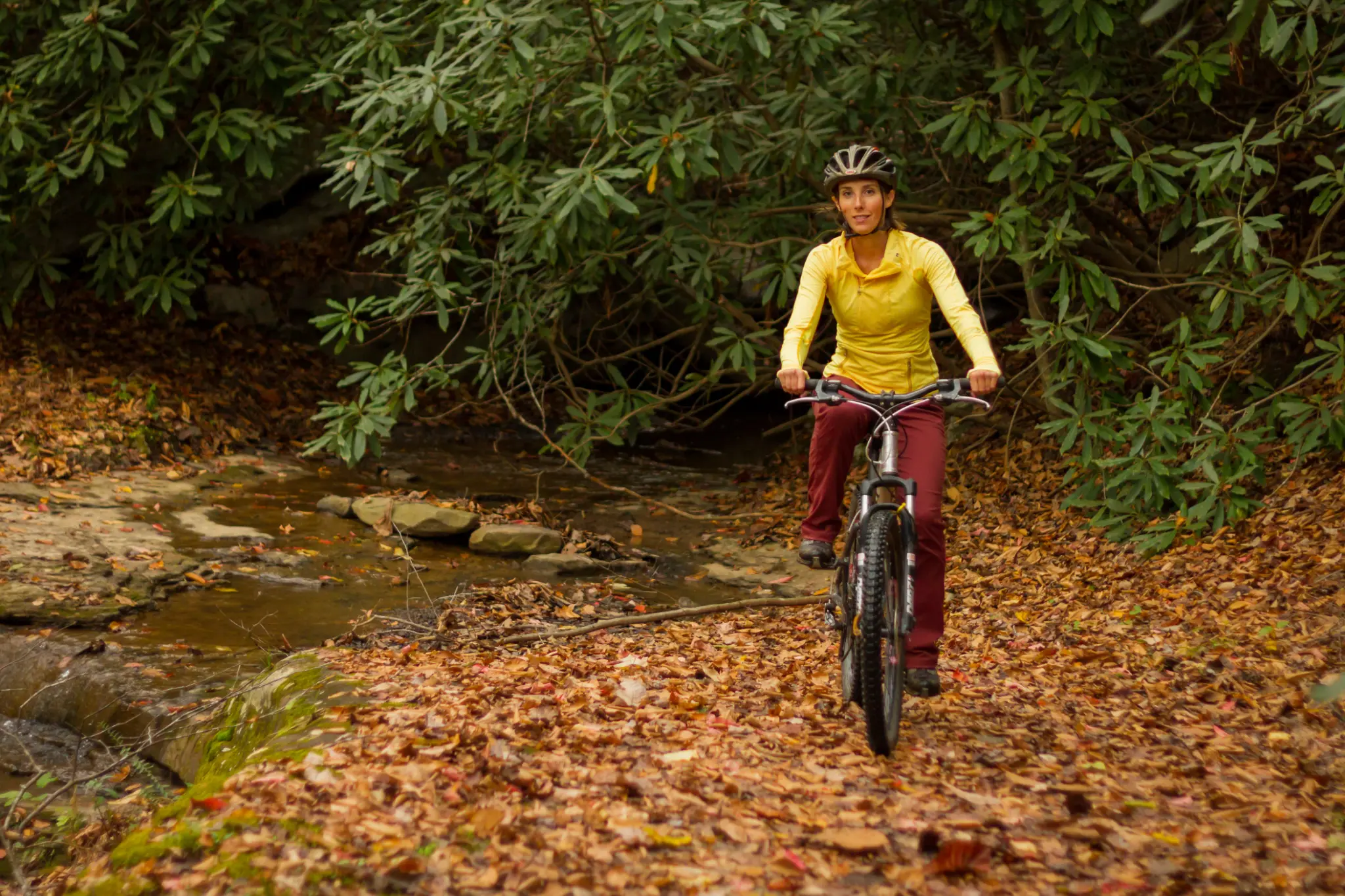 Mountain biking through fall foliage